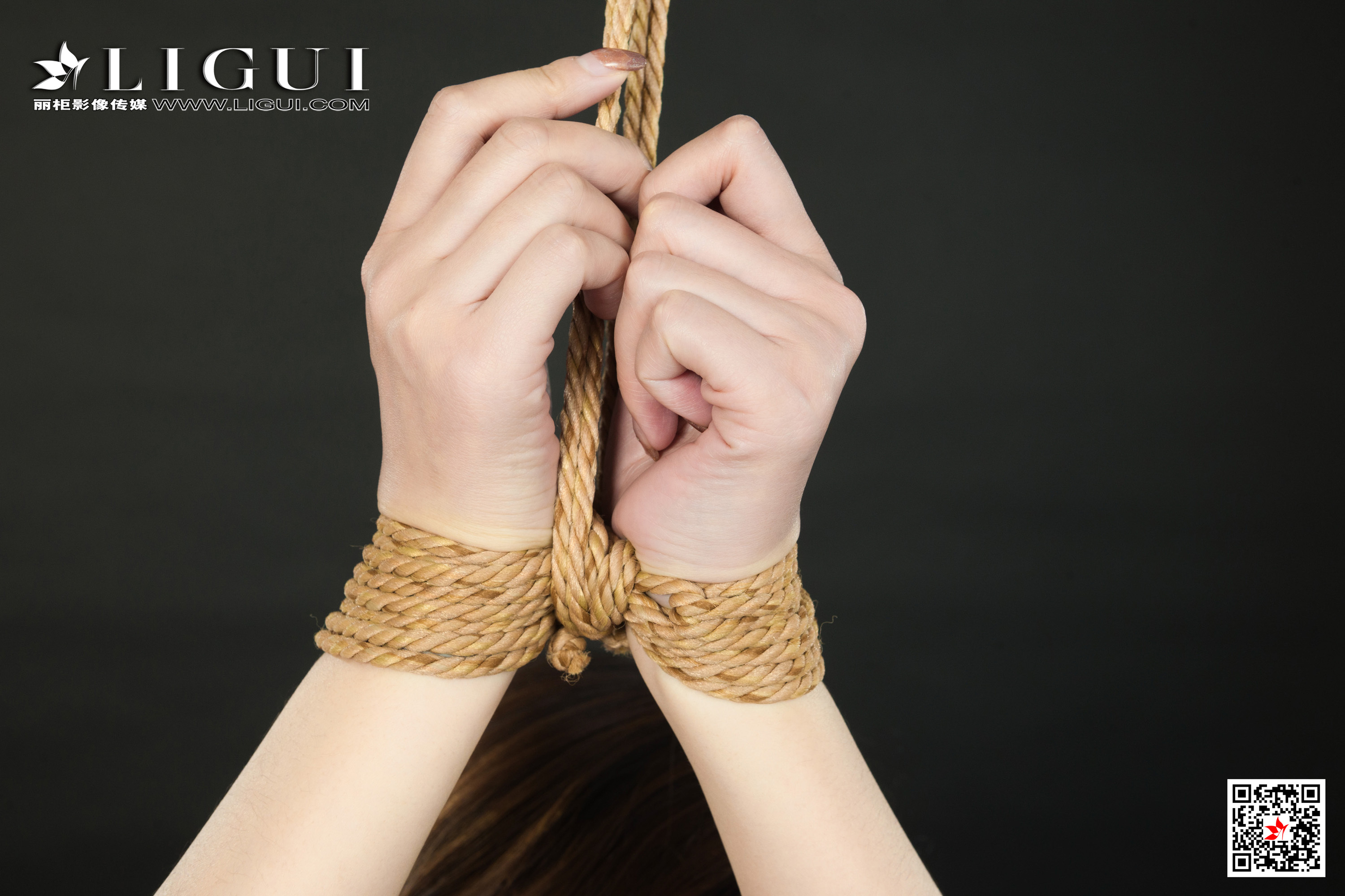 Ligui丽柜 2021.04.16 网络丽人 Model 文芮